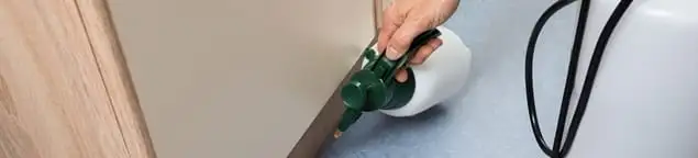 Bed bug exterminator treating baseboards and cracks with targeted spray in Reno, NV