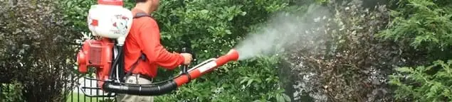 Mosquito control technician fogging shrubs and landscaping for mosquito treatment in Reno, NV