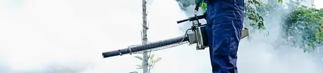 Pest control technician fogging an outdoor area for insect control in Reno, NV