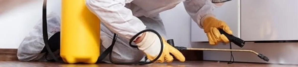 Roach exterminator treating cracks and crevices along kitchen baseboards in Reno, NV