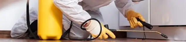 Roach exterminator treating cracks and crevices along kitchen baseboards in Reno, NV