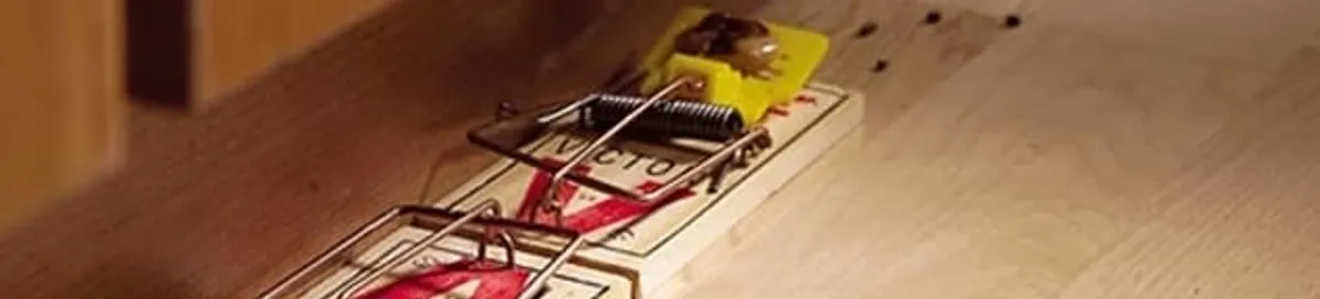 Rodent trap set indoors for rodent control and prevention in Reno, NV