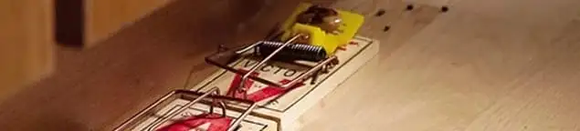 Rodent trap set indoors for rodent control and prevention in Reno, NV