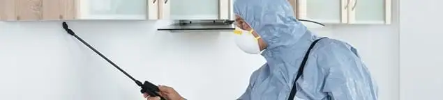 Termite treatment technician applying indoor pest control spray in Reno, NV